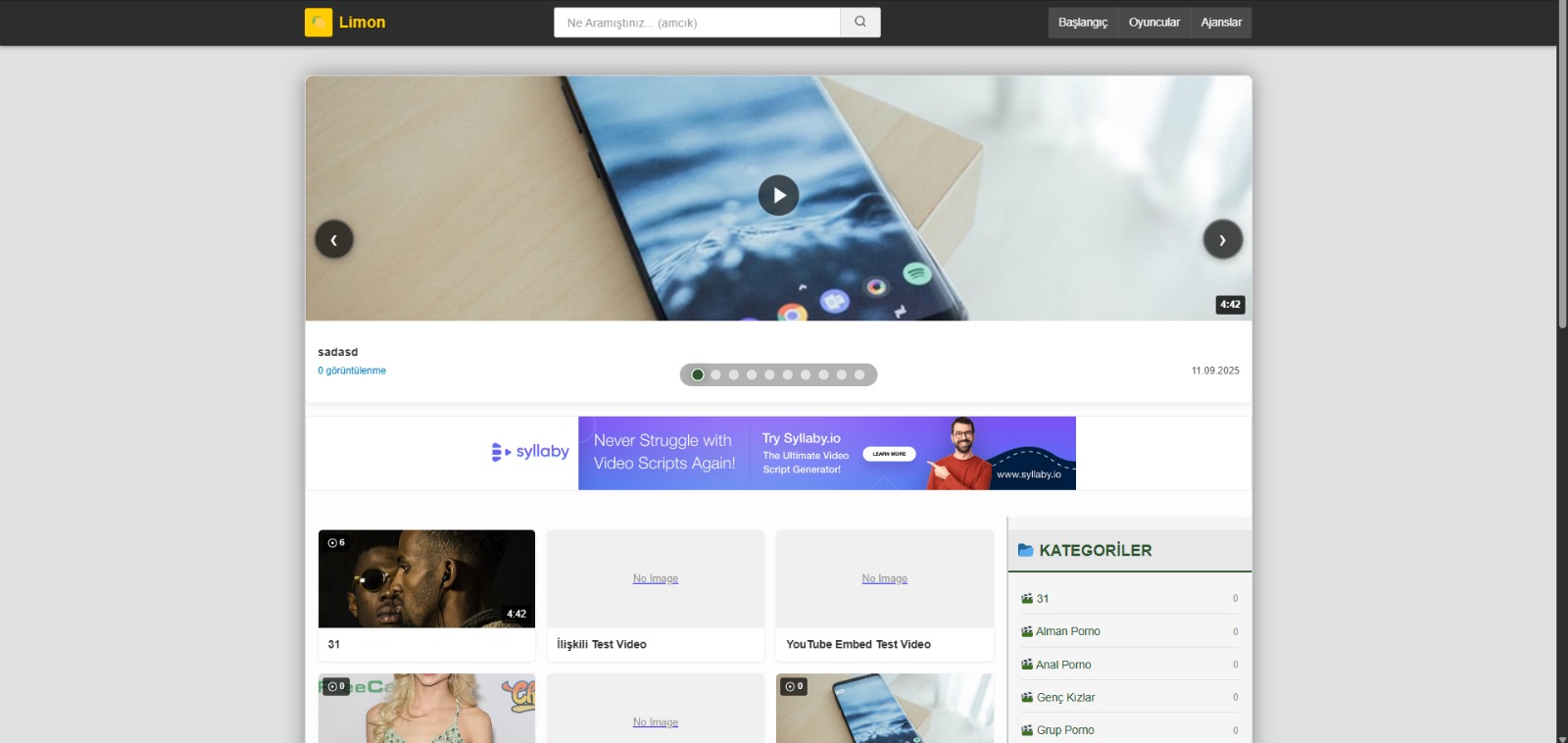 Wordpress sofi V1